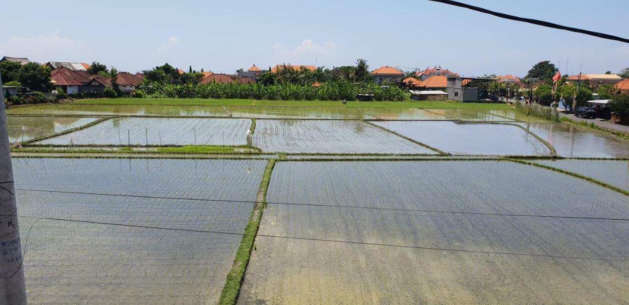 Sun Homestay Canggu Экстерьер фото