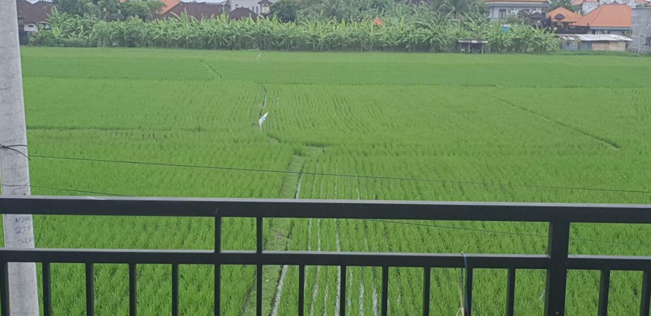 Sun Homestay Canggu Экстерьер фото