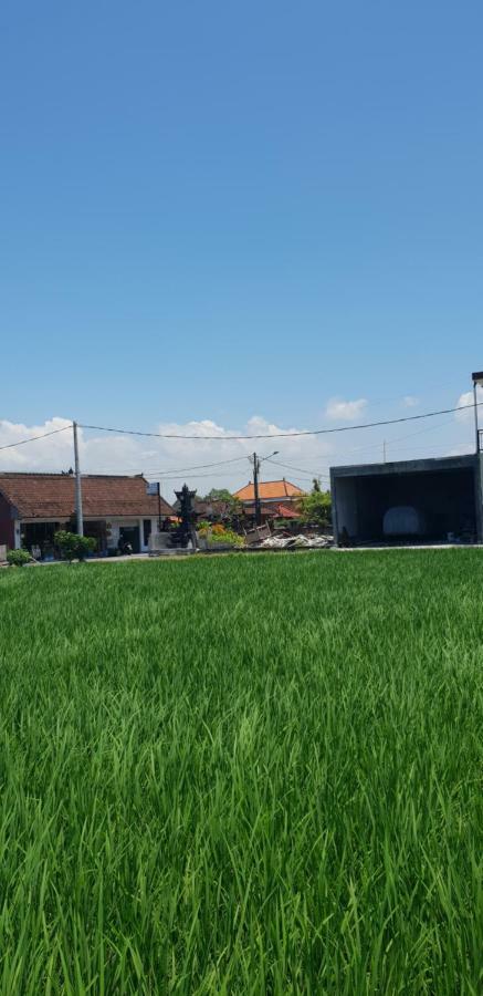 Sun Homestay Canggu Экстерьер фото